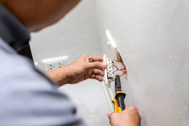 Best Electric Panel Repair  in Springfield, GA